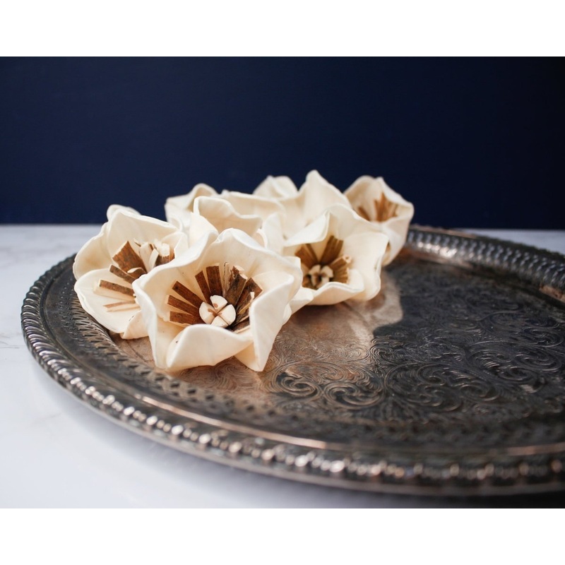 3 Sweetbay Magnolia (10 Pack)-RAW & CUSTOM