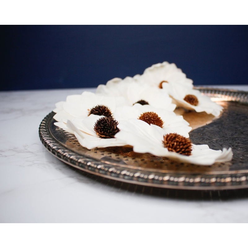 3 Thistle Sunflower (10 pack)-RAW & CUSTOM