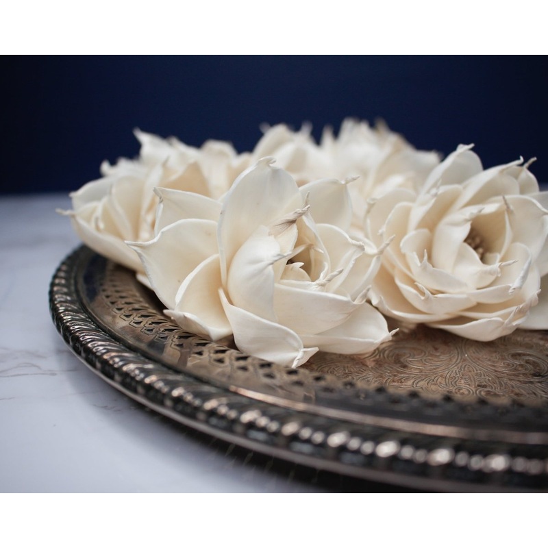 3 Twila (10 Pack)-RAW & CUSTOM