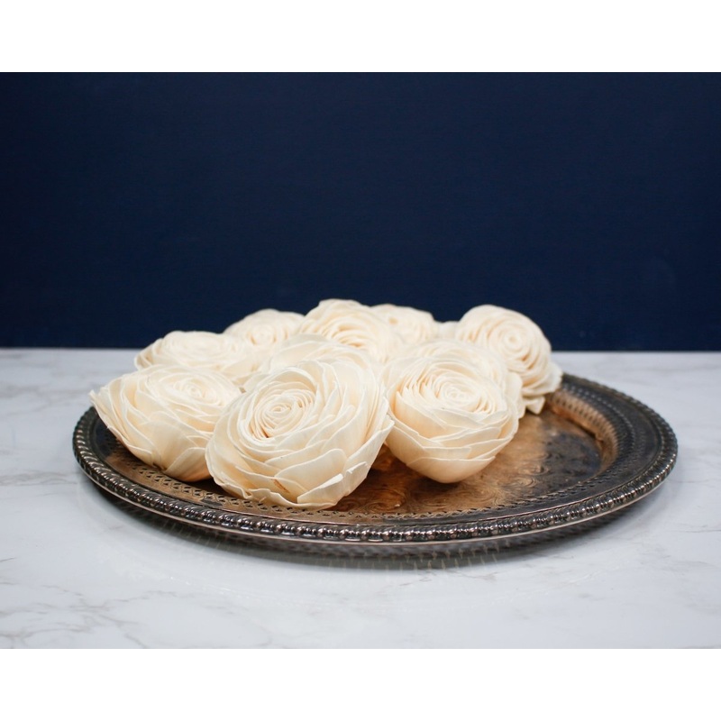 4 Aurora (10 Pack)-RAW & CUSTOM