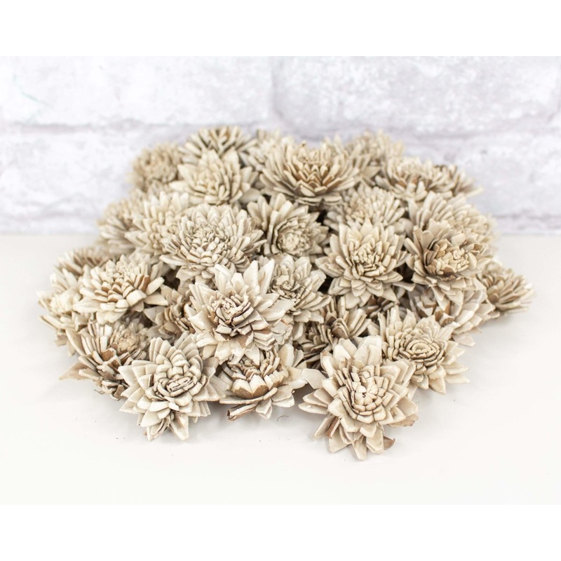 1.5 Bark Zinnia – 50 Pack-RAW & CUSTOM