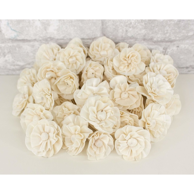 1.5 Beatrice – 50 Pack-RAW & CUSTOM