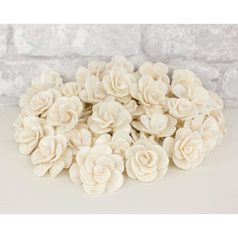 1.5 Betty The Beautiful – 50 Pack