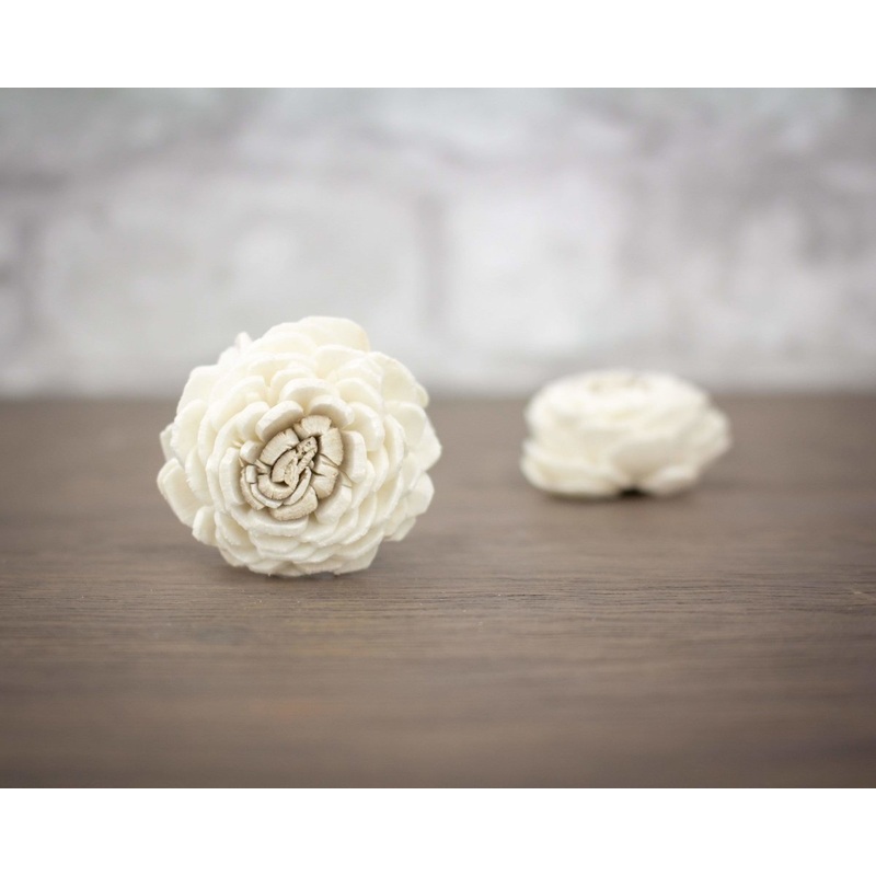 1.5 Coco Bali (10 pack)-RAW & CUSTOM