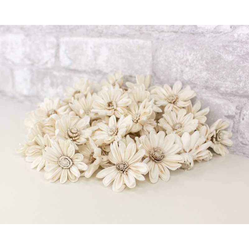 1.5 Daisy May – 50 Pack-RAW & CUSTOM