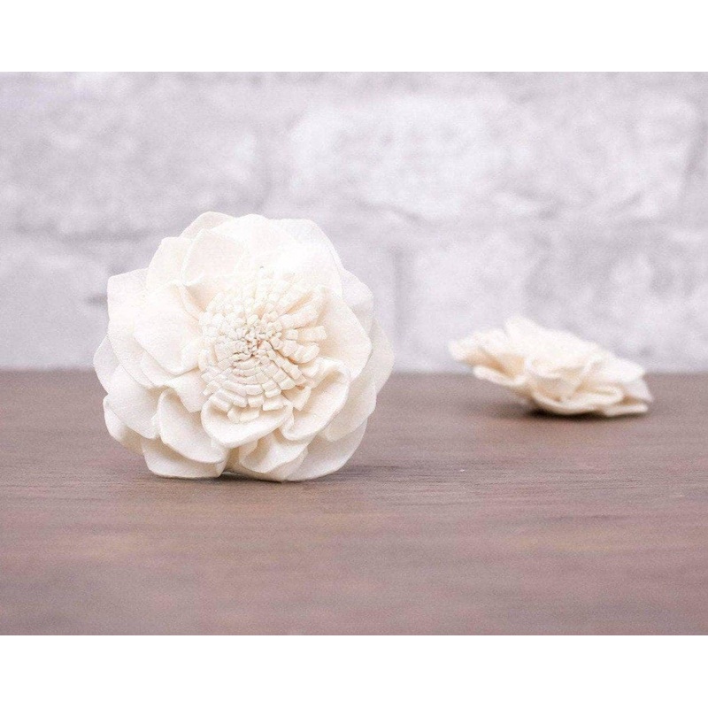 1.5 Diana (10 Pack)-RAW & CUSTOM