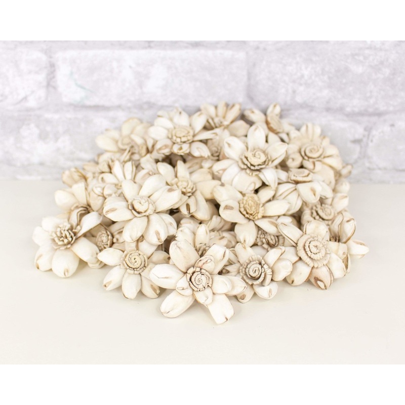 1.5 Distressed Daisy – 50 Pack