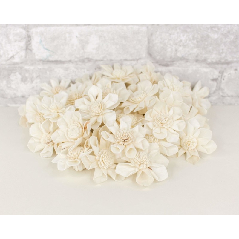 1.5 Maria – 50 Pack-RAW & CUSTOM