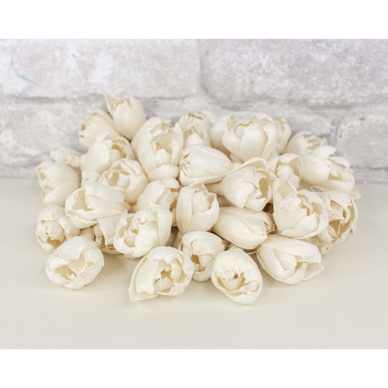 1.5 Precious Tulip – 50 Pack-RAW & CUSTOM