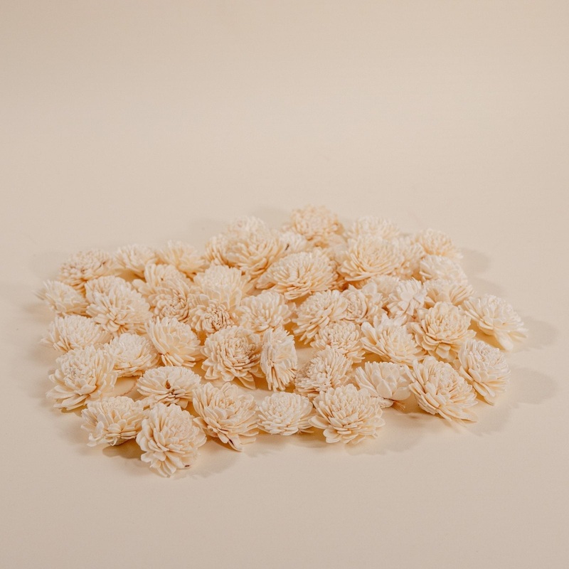 1.5 Wild Zinnia – 50 Pack-RAW & CUSTOM