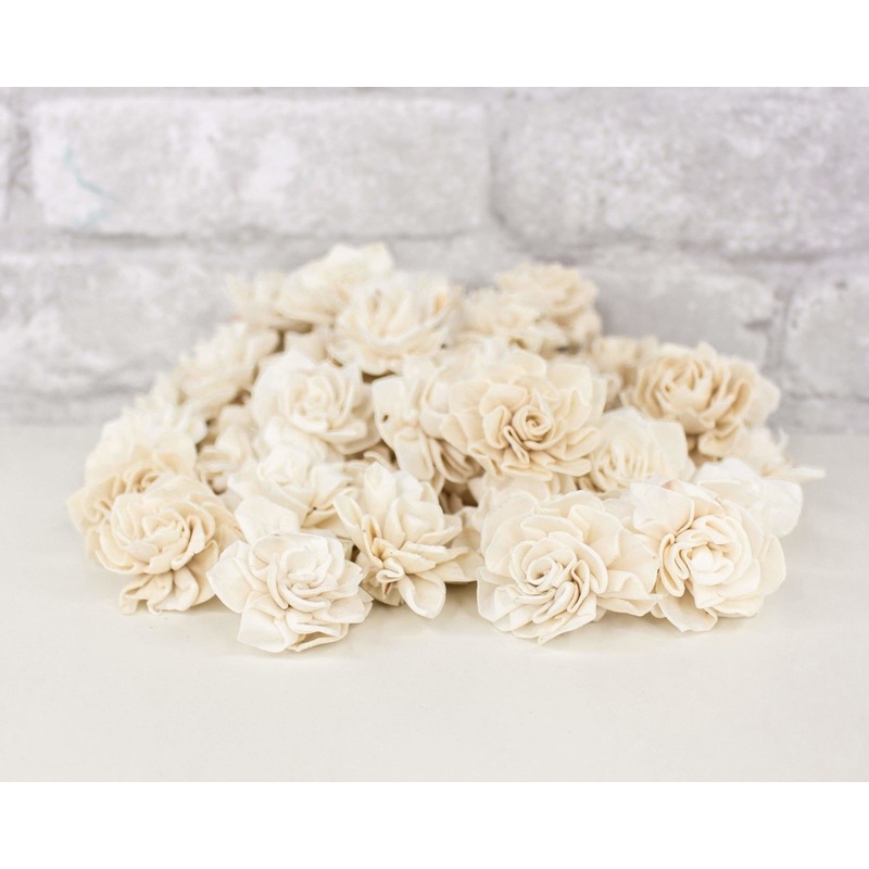 1 Dahlia – 50 Pack-RAW & CUSTOM