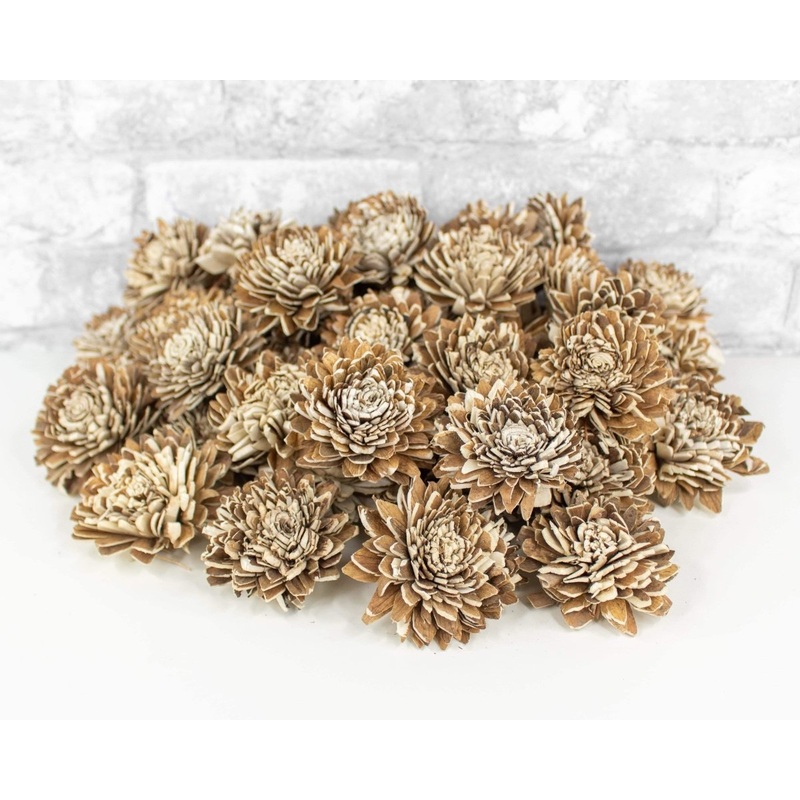 2 Bark Zinnia – 50 Pack-RAW & CUSTOM