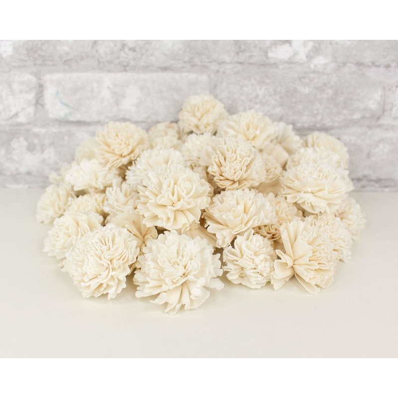 2 Carnation – 50 Pack-RAW & CUSTOM