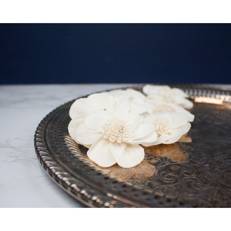 2 Cherry Blossom (10 Pack)-RAW & CUSTOM