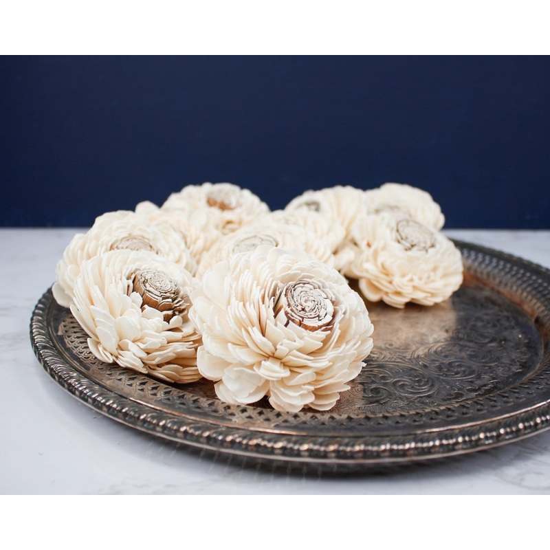 2 Coco Bali (10 pack)-RAW & CUSTOM