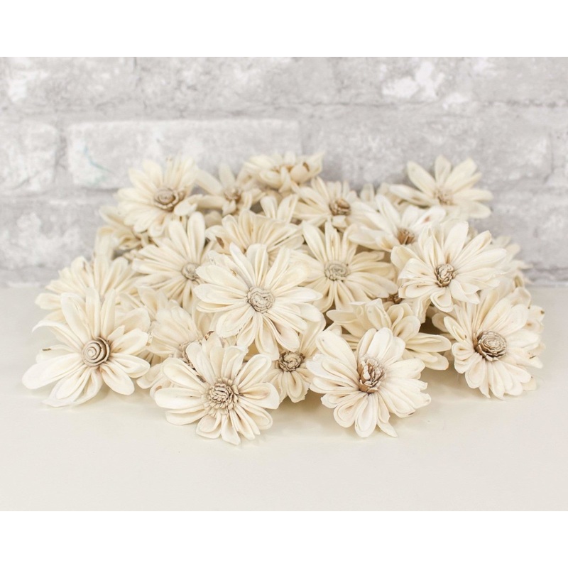 2 Daisy May – 50 Pack-RAW & CUSTOM