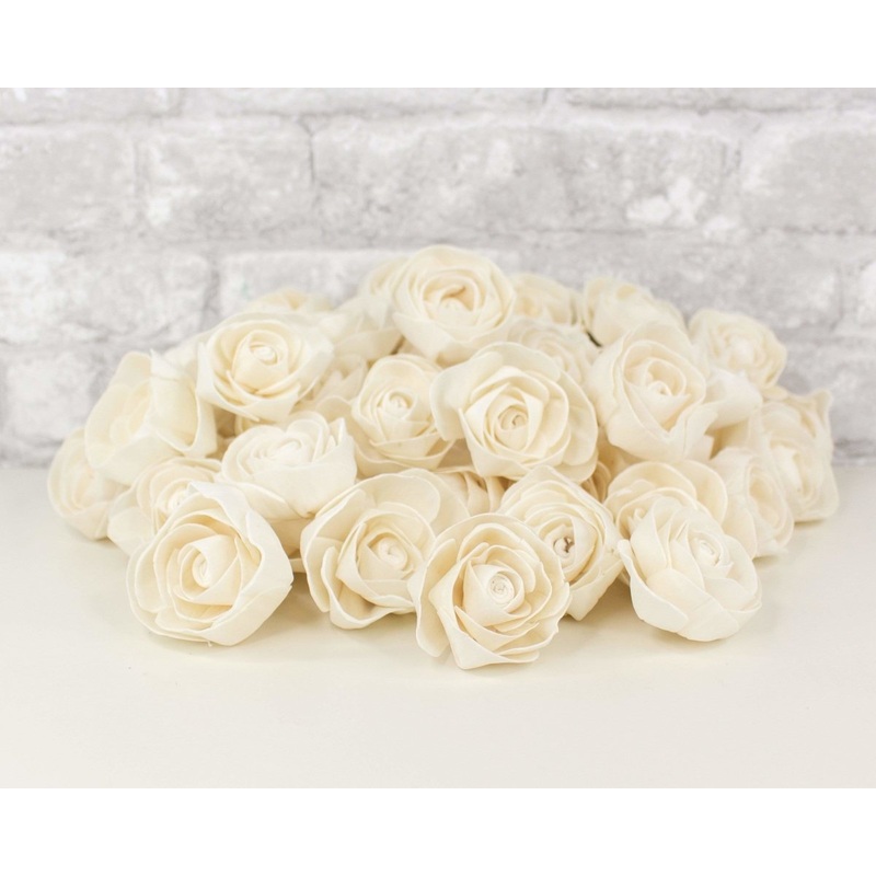 2 Dear Holly – 50 Pack-RAW & CUSTOM