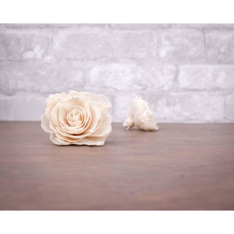 2 Dorothy (10 Pack)-RAW & CUSTOM