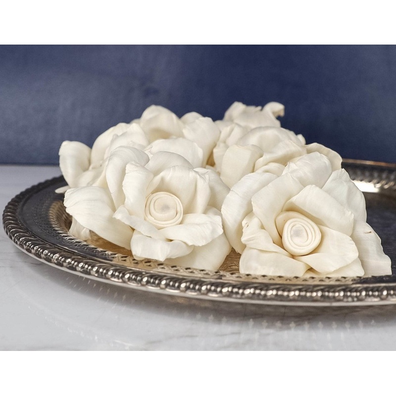 3 Astoria (10 Pack)-RAW & CUSTOM