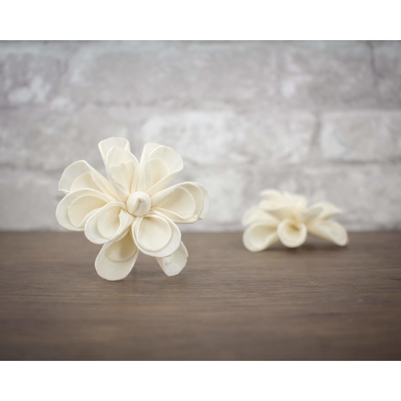 3 Dainty Daisy (10 pack)-RAW & CUSTOM