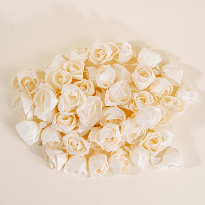 1.5 Dear Holly – 50 Pack-RAW & CUSTOM