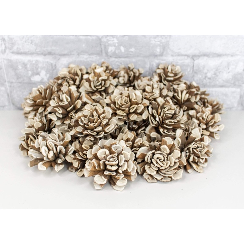 2 Bark Dahlia – 50 Pack-RAW & CUSTOM