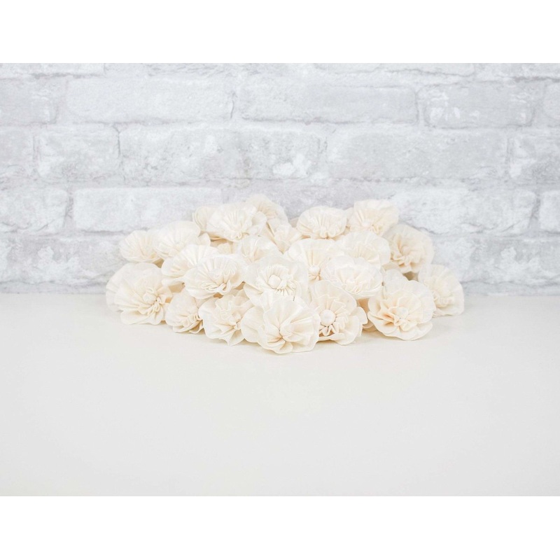 2 Beatrice – 50 Pack-RAW & CUSTOM