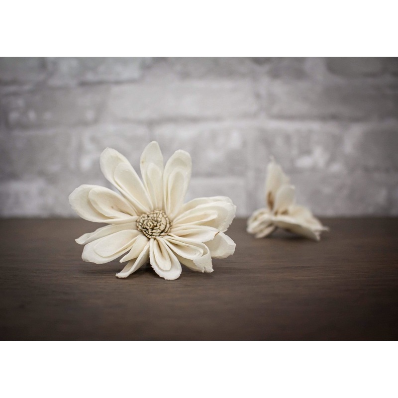 2 Daisy May (10 Pack)-RAW & CUSTOM