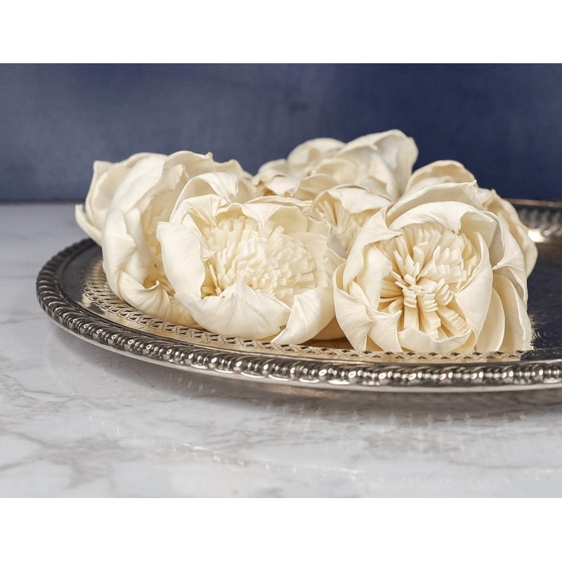 2 Fresia (10 Pack)-RAW & CUSTOM