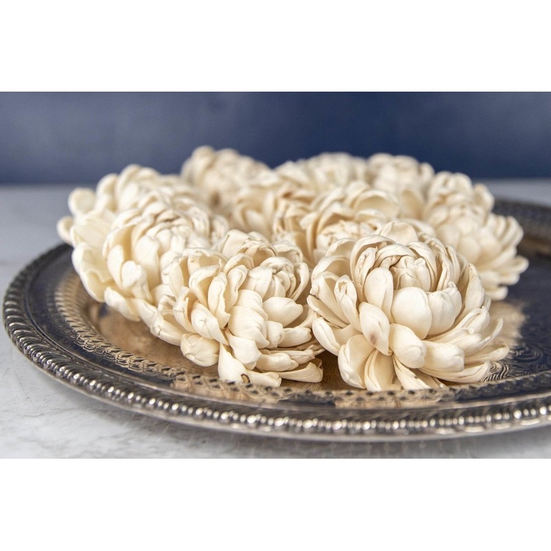 2 Lillian (10 pack)-RAW & CUSTOM