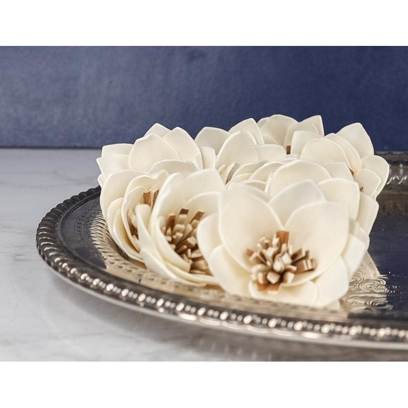 2 Twilight (10 pack)-RAW & CUSTOM