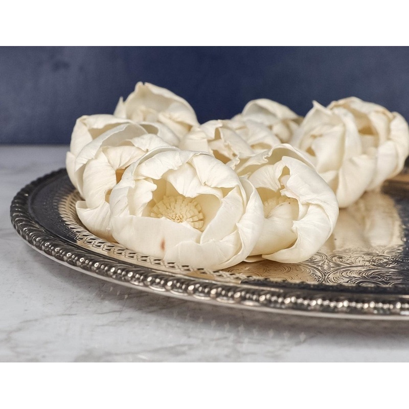 3 Athena (10 Pack)-RAW & CUSTOM