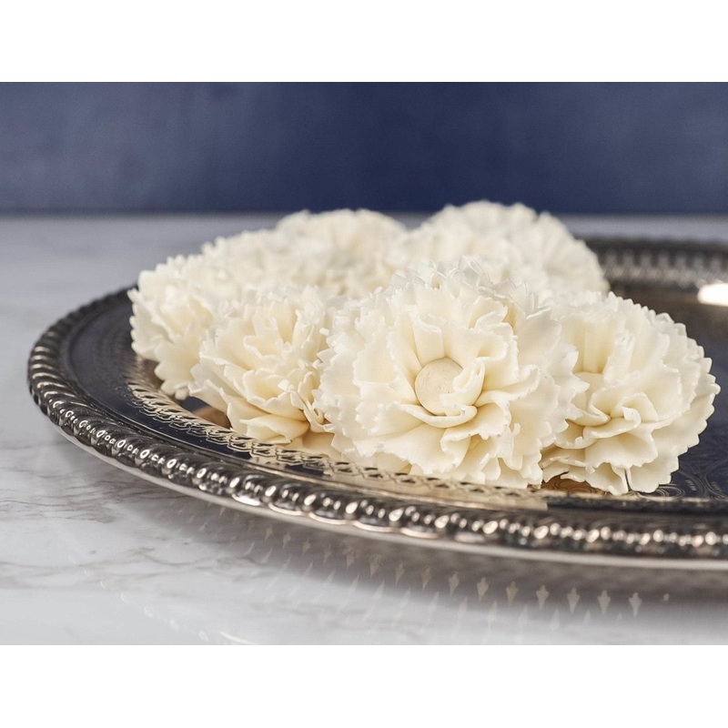 3 Curly Carnation (10 Pack)-RAW & CUSTOM