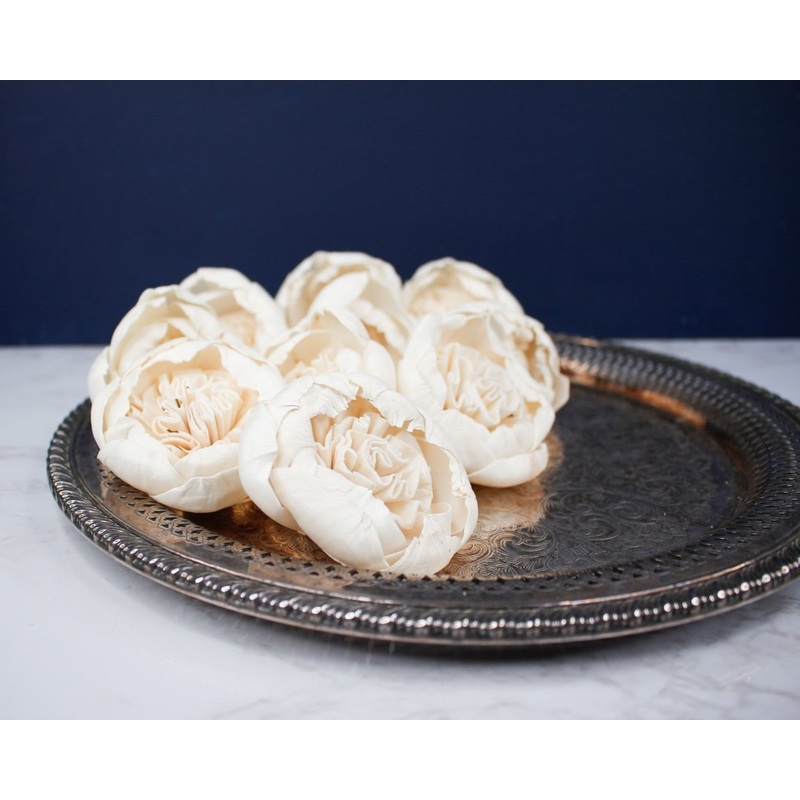 3 Darla (10 Pack)-RAW & CUSTOM