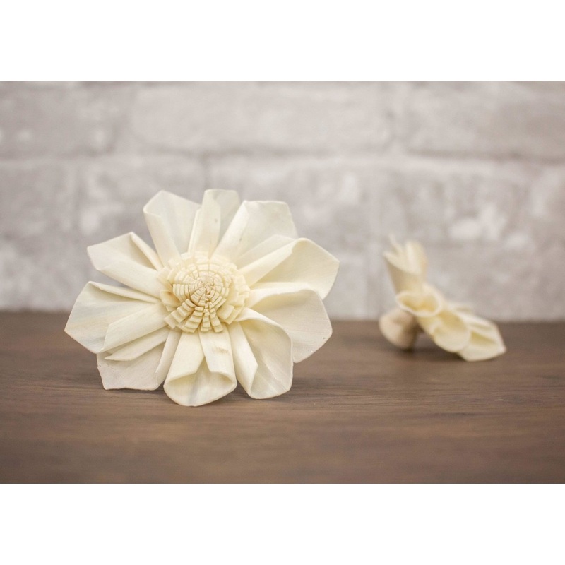 3 Maria (10 Pack)-RAW & CUSTOM