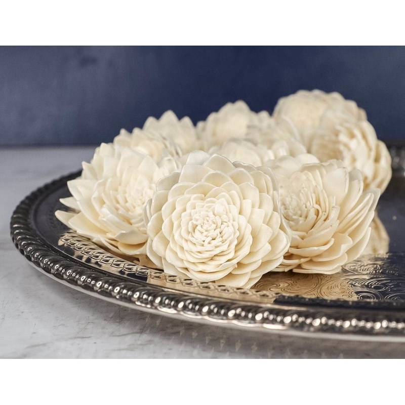 3 Obsession (10 pack)-RAW & CUSTOM