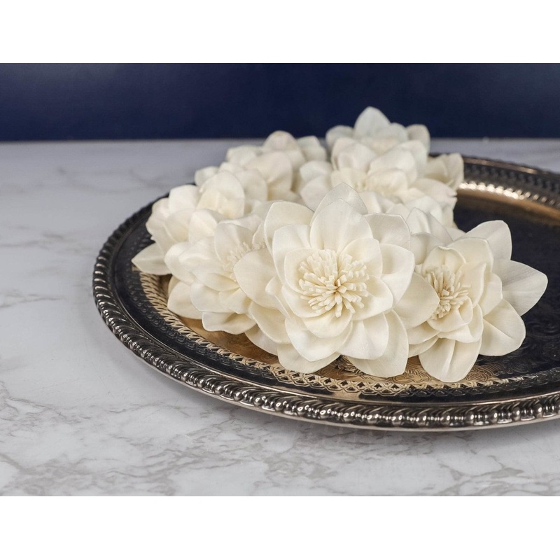 3 Paris (10 Pack)-RAW & CUSTOM