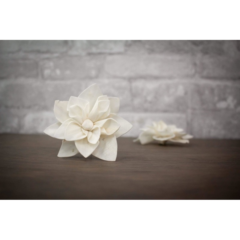 3 Scarlet (10 Pack)-RAW & CUSTOM