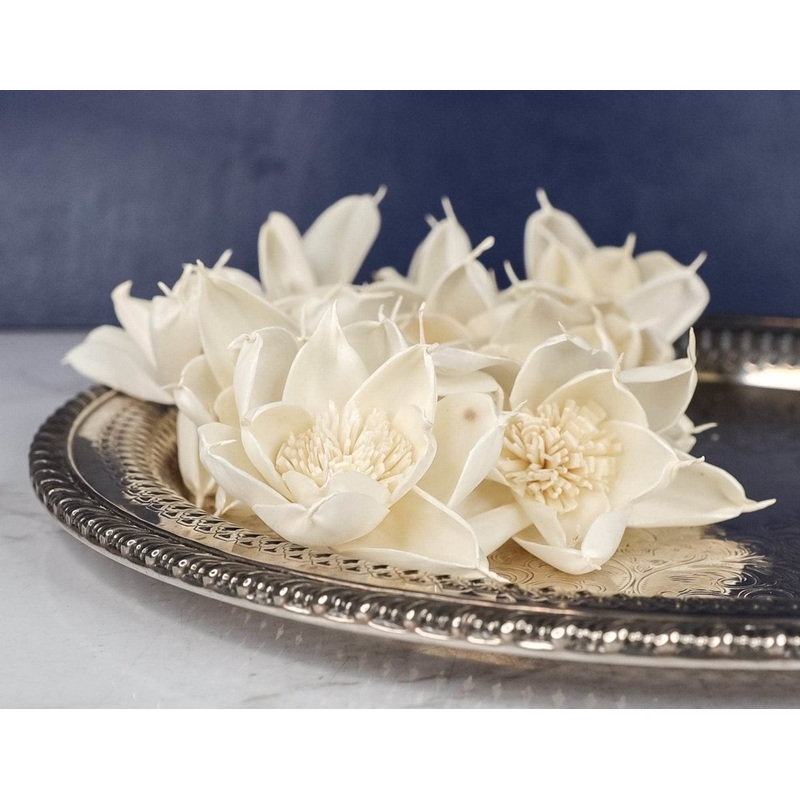 3 Veronica (10 Pack)-RAW & CUSTOM