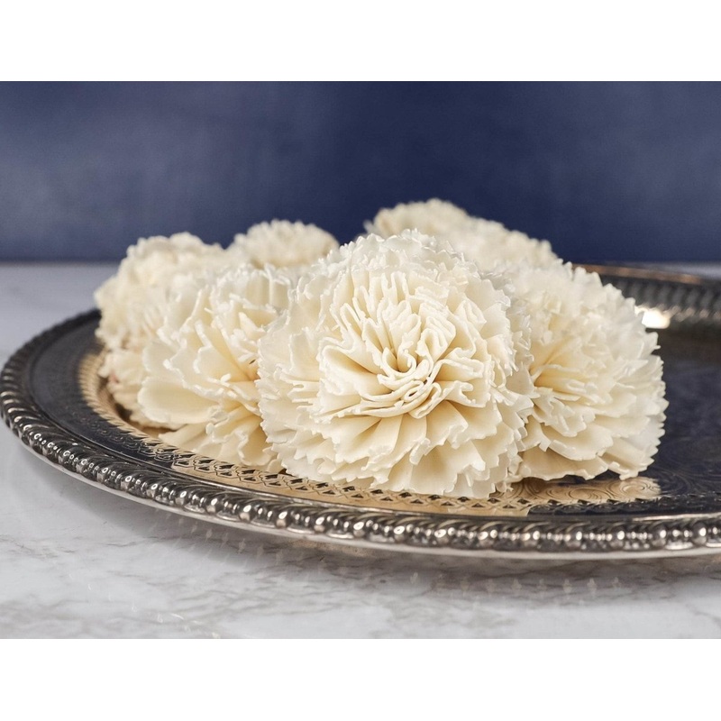 1.5 Carnation (10 pack)-RAW & CUSTOM