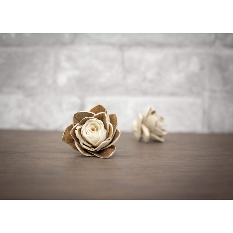 1.5 Finley (10 Pack)-RAW & CUSTOM