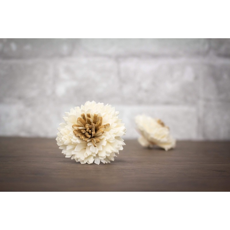 1.5 Tiger Eye (10 Pack)-RAW & CUSTOM