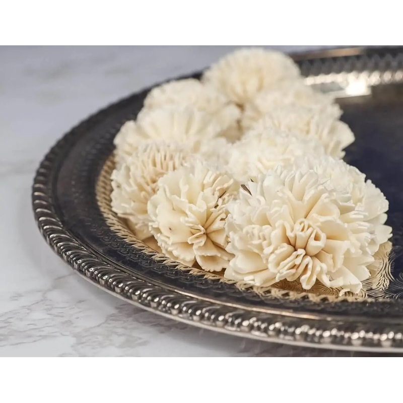 2 Carnation (10 pack)-RAW & CUSTOM