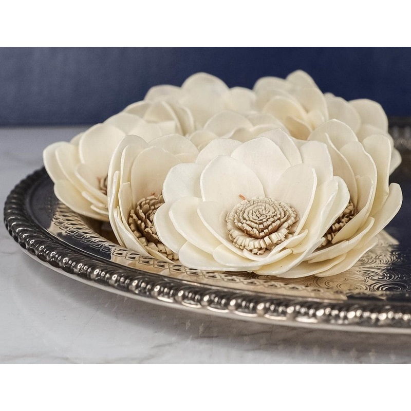 2 Honey (10 Pack)-RAW & CUSTOM