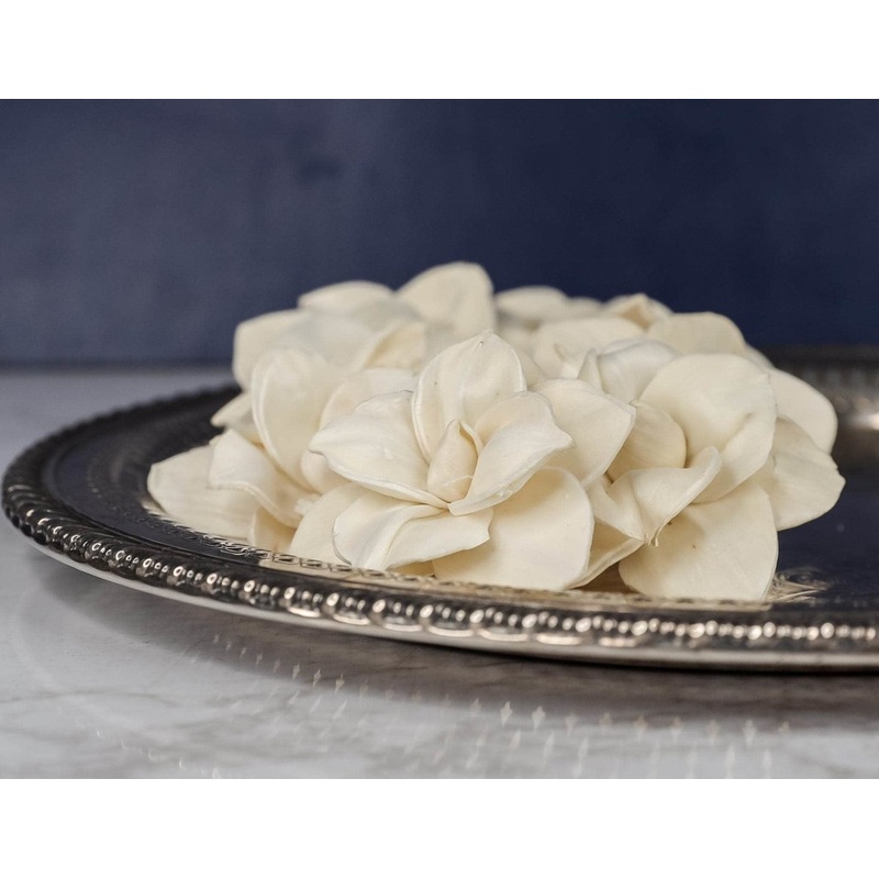 2 Nova (10 Pack)-RAW & CUSTOM