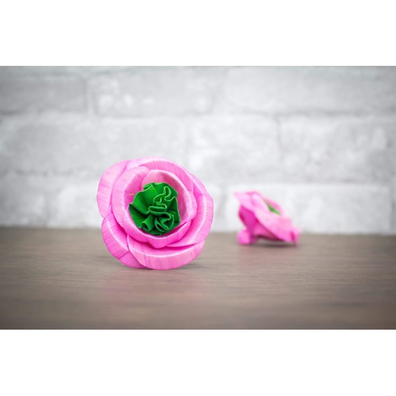 2 Polly Pink/Green (10 Pack)-RAW & CUSTOM