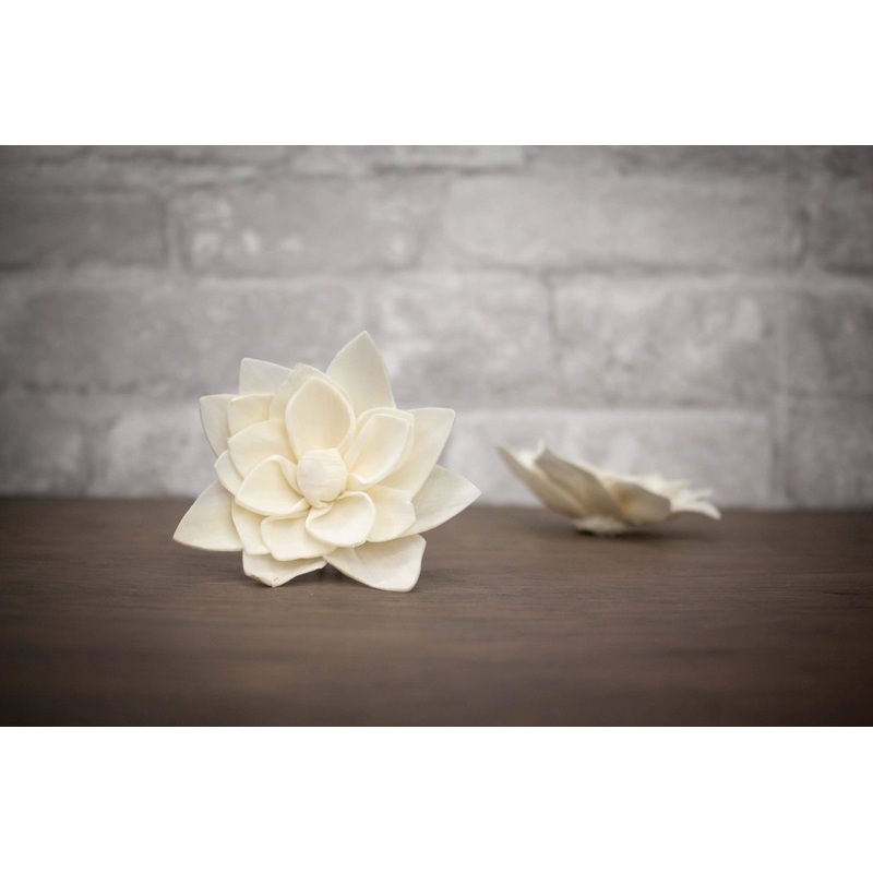 3 Reeva (10 Pack)-RAW & CUSTOM