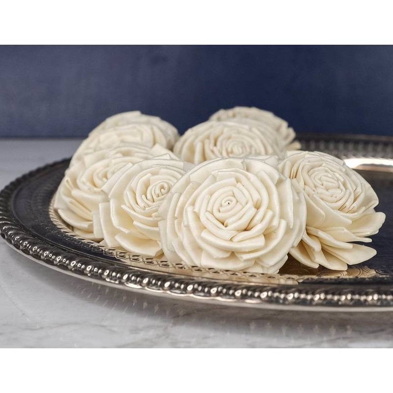 3 Shasta (10 Pack)-RAW & CUSTOM