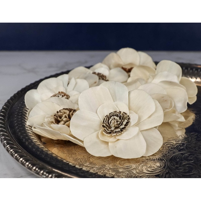 3 Stella (10 pack)-RAW & CUSTOM