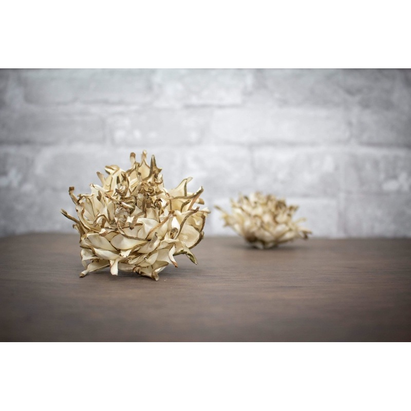 3 Thistle (10 Pack)-RAW & CUSTOM